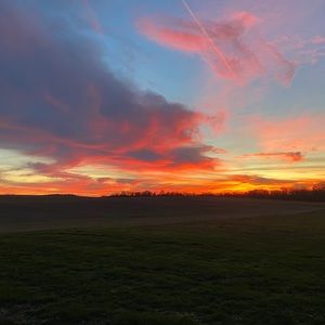 Meet your Posher, Alli